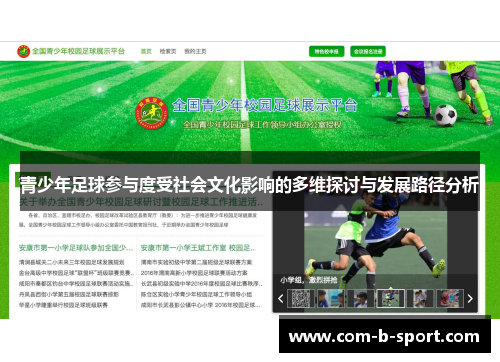 青少年足球参与度受社会文化影响的多维探讨与发展路径分析